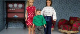 Kan Finland så borde även Sverige kunna