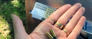 Tyst jakt effektivt vapen mot måsar
