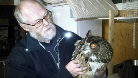 Joel Svensson gjorde vad han kunde, men berguvens liv gick inte att rädda.