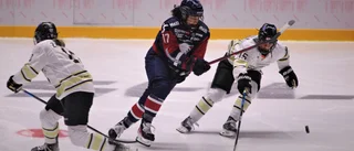 Utan publik tvingas LHC-fansen gå med gamnacke