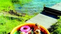 Ljuvligt men farligt. En svalkande pool är populärt i den stekande julihettan, men i värmen förökar sig bakterierna snabbt och det gäller därför att byta vatten ofta. 
Foto: Scanpix