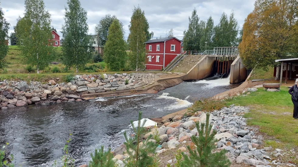 Elaine Blomqvist bjuder på en läsarbild.