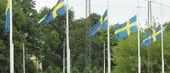 Ett tecken på medkänsla