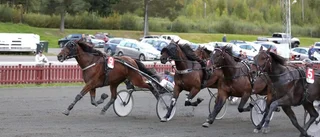 Braklunch i Skellefteå da´n före V75-da´n - 3-årsduell igen mellan Baltimore Broline och Galant Ima