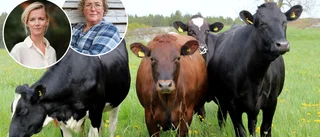 Norrbottens gårdar sämst i landet enligt Krav ■ Lantbrukarnas riksförbund: "Märkningen är för dyr"