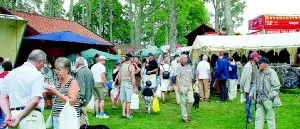 Lyckat för Regna marken