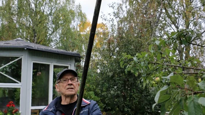 Idé. Allan Öhman använder sin äppelplockare flitigt när äpplena ska plockas.