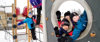 Skolan räddad av nya bostadsområdet