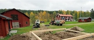 Nya bullerregler ska begränsa festandet