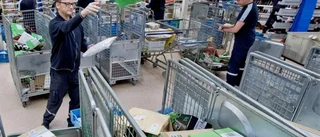 Postens brevbärare har julen i sikte