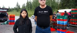 Bärplockare tvingades bort från skogen utan bär