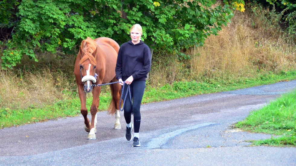Nora Andersson och åttaåriga Nilia har gått från klarhet till klarhet i år. Nora har sedan hon var åtta år gammal tränat för Lotta Björe och det var hon som rekommenderade hästen.