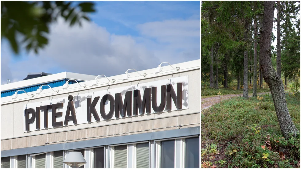 Piteå kommuns landskapsingenjör Katri Korpi, tycker det är beklagligt att ärendet har dragit ut på tiden.