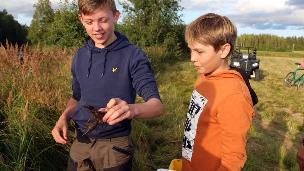 Alexander Kristoffersson från Pålmark och Jonathan Lundmark från Öjebyn hade kul under kräftfisket.