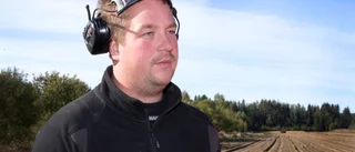 Årets potatisskörd sämre än normalt