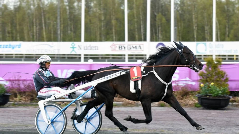 Makethemark vann storloppet på Mikkelibanan i Finland.