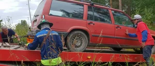 Bärhandlare rasar över trakasserier