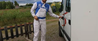 Piteåamatör fyra i norska V75
