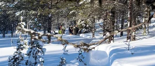 Arjeplogselever i vintervistet