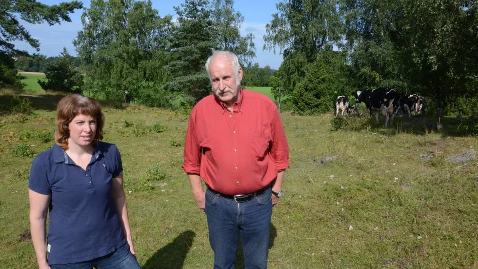 Öppet landskap. Korna som Kristin och Johan Yderfors har får gå på ute fem eller sex månader om året.