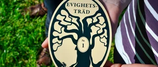 Första evighetsträdet invigt