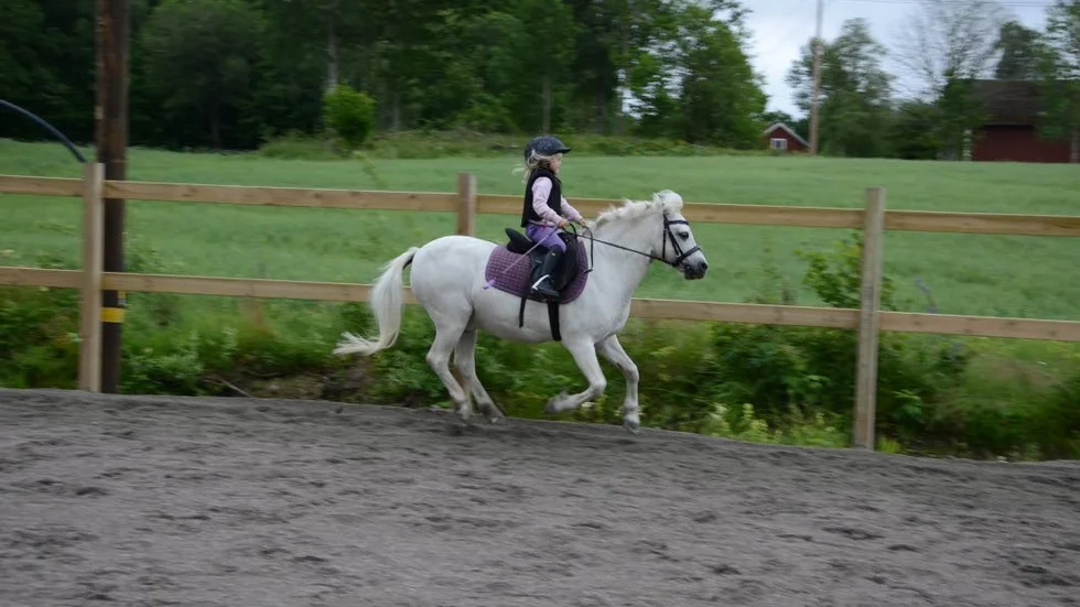 Galopp. Felicia Enocksson på Japp i full galopp.