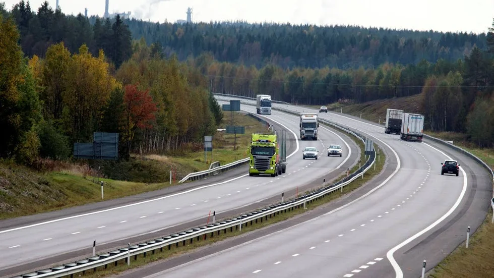 Viltstängsel. En 5 kilometer lång sträcka längs E4, norr om Öjebyn, håller på att förses med viltstängsel.