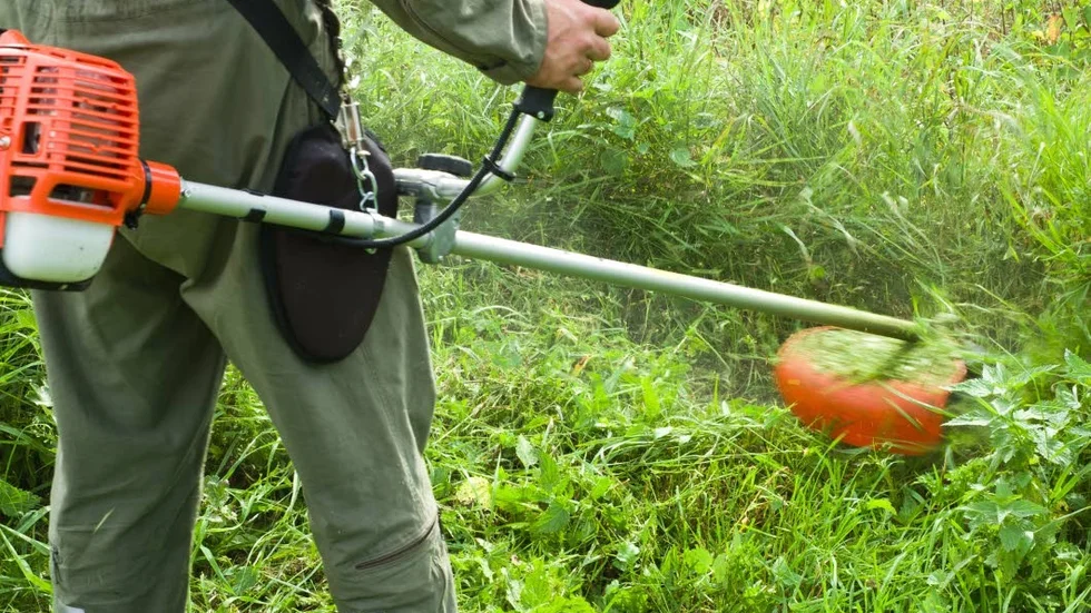 Billiga trädgårdsmaskiner överstiger EU-gränsvärdet med flera hundra procent, visar tysk undersökning.