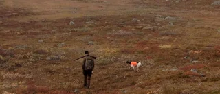Regeringen ändrar jaktreglerna