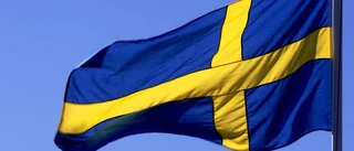 Kan vi rädda Sverige?