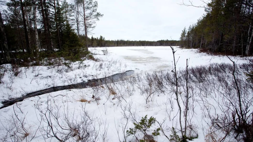 Inmutat. Det inmutade området omfattar ett 7,5 hektar stort område från Hamntjärn till havet.