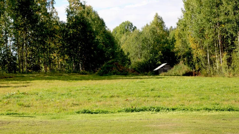 Efter ökningen i sommar finns stora expanionsplaner. Här är tankena att 40 campingplatser ska tillkomma.