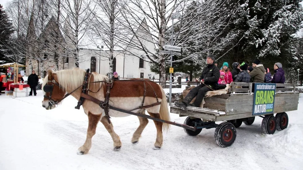 Grans naturbruksskola fanns på plats och erbjöd skjuts med häst och vagn.