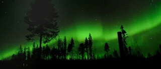 Sprakande norrsken på himlen