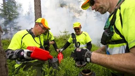 Magnus Lindahl, Östen Gradin (skymd), Benny Karlsson och Åke Holmström jobbar professionellt med skogen och hade ett stort ansvar under bränningen.