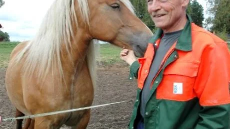 Hugo Andersson använder inte sin häst i lantbruket men har flera djur på sin gård som bara har ett riktigt gott liv.Foto: Lillemor Molin