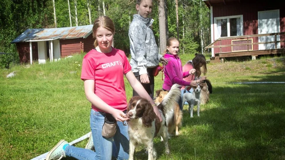 Ellen Eriksson, Ängla Bergvall, Frida Malm och Julia Eriksson har övat junior handling under ett läger på Fårön.