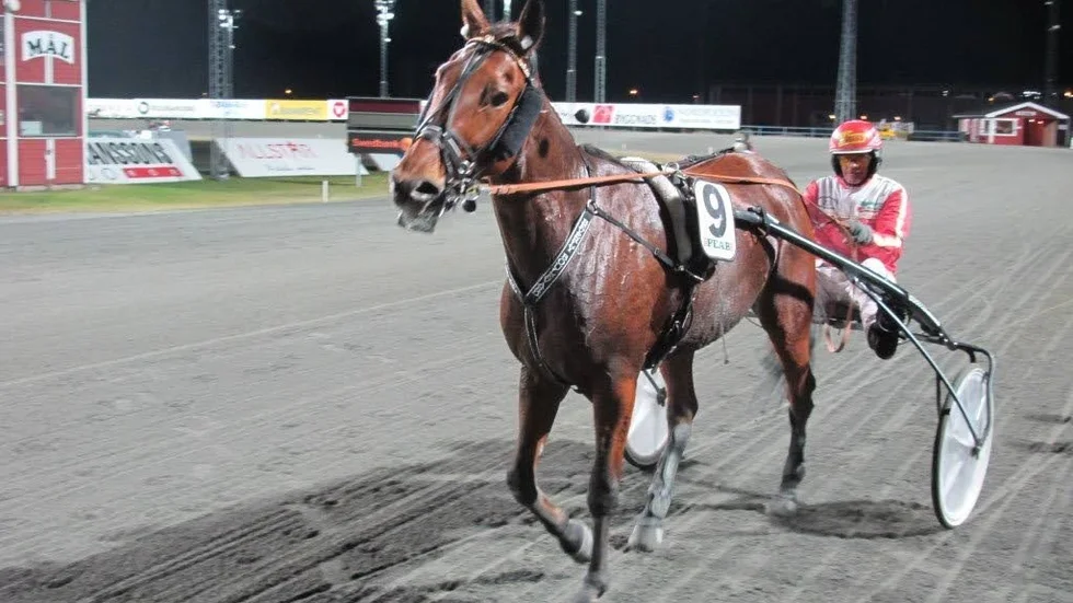 Beverly Boulevard vann PT-loppet efter en formidabel spurt. Umeåproffset Jan Norberg satt i sulkyn bakom åttaoddsaren.