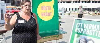 Valupptakt på Nolia, men utan Alliansens partiledare