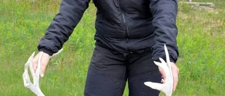 Sápmi Awards till Vaino Persson