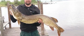 Stora gäddor dominerar Nappataget