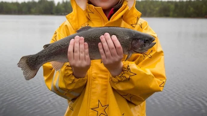 Lilly Renberg, 7 år, från Roknäs, fick napp på första kastet.