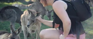 Ett år av äventyr down under
