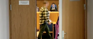 Barnpornografidom överklagas till HD