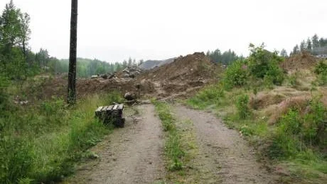 Här tar Drottning Kristinas färdväg på Vikbolandet slut. Cirka 150 meter av den kulturhistoriskt intressanta vägen bedöms vara förstörd.Foto: Länsstyrelsen