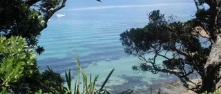 Året i Nya Zeeland