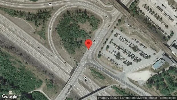 Vildsvin på vägen kan skapa fara på väg 223