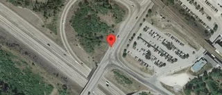 Vildsvin på vägen kan skapa fara på väg 223