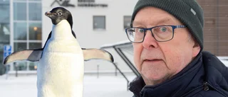 Pingvintricket: Så lurar du den förrädiska halkan