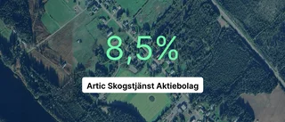 Här är siffrorna som visar hur det gick för Artic Skogstjänst AB